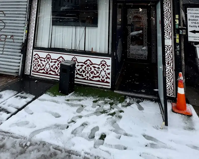 Shashlik Uz N1